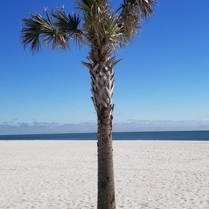 Meet your Posher, Vera